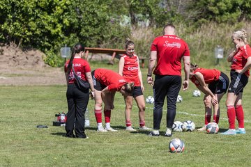 Bild 93 - F SG NieBar - IF Stjernen Flensborg : Ergebnis: 2:0